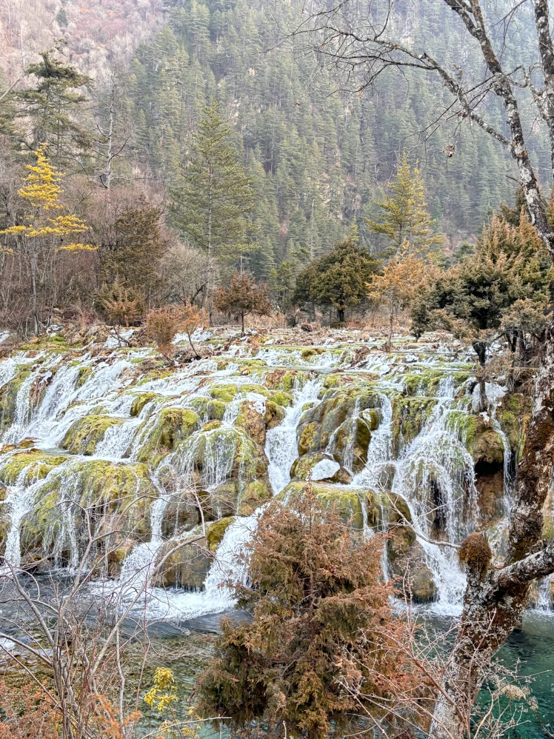 特种兵冬季九寨沟旅游攻略