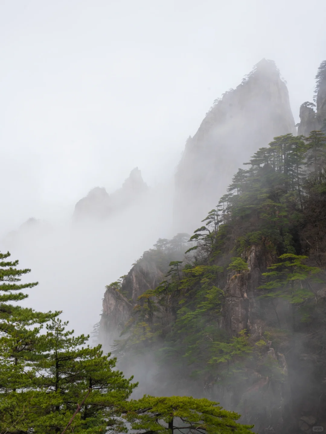 爬了3次黄山，总结了一条黄山保姆级攻略