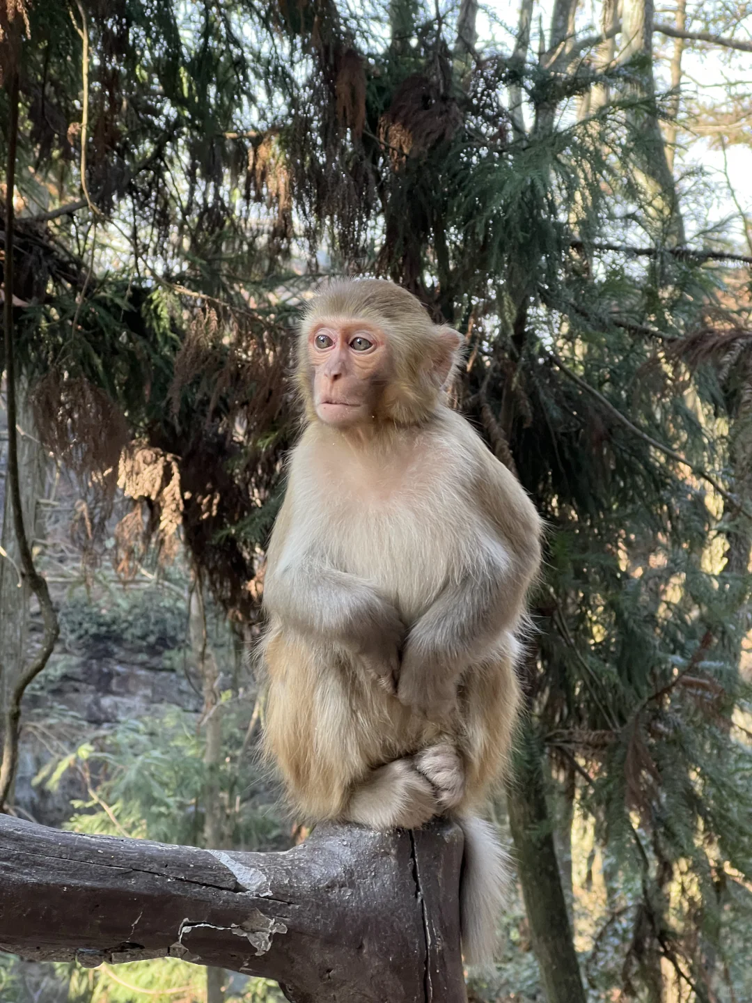 淡季的张家界太香了（附三天两夜路线）