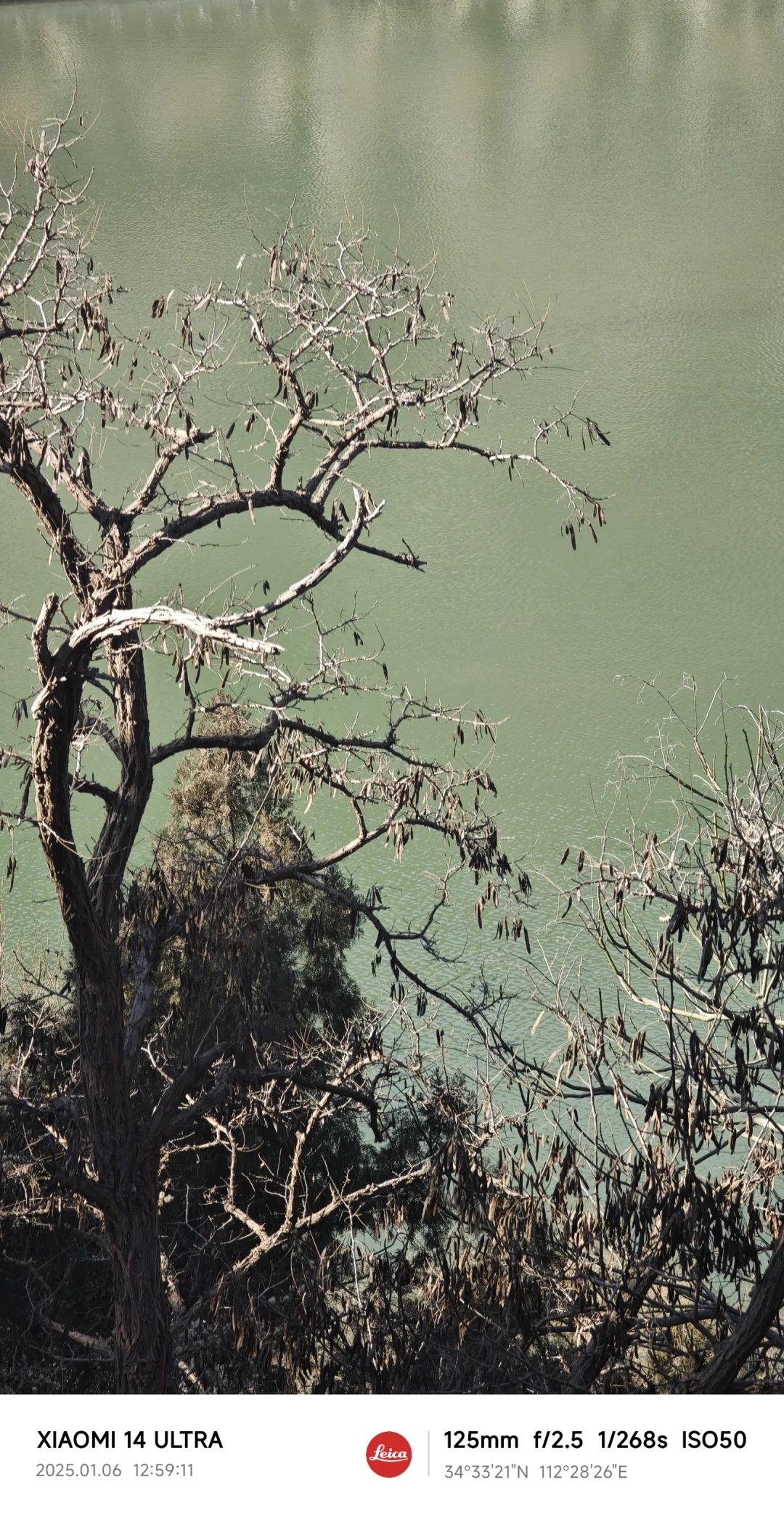 龙门石窟📍洛阳