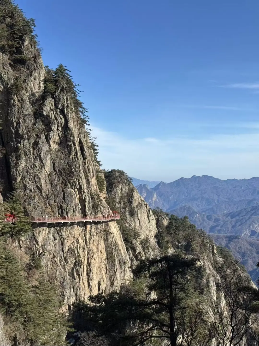 1.8号老君山实况！积雪告急山顶没雪了.今日