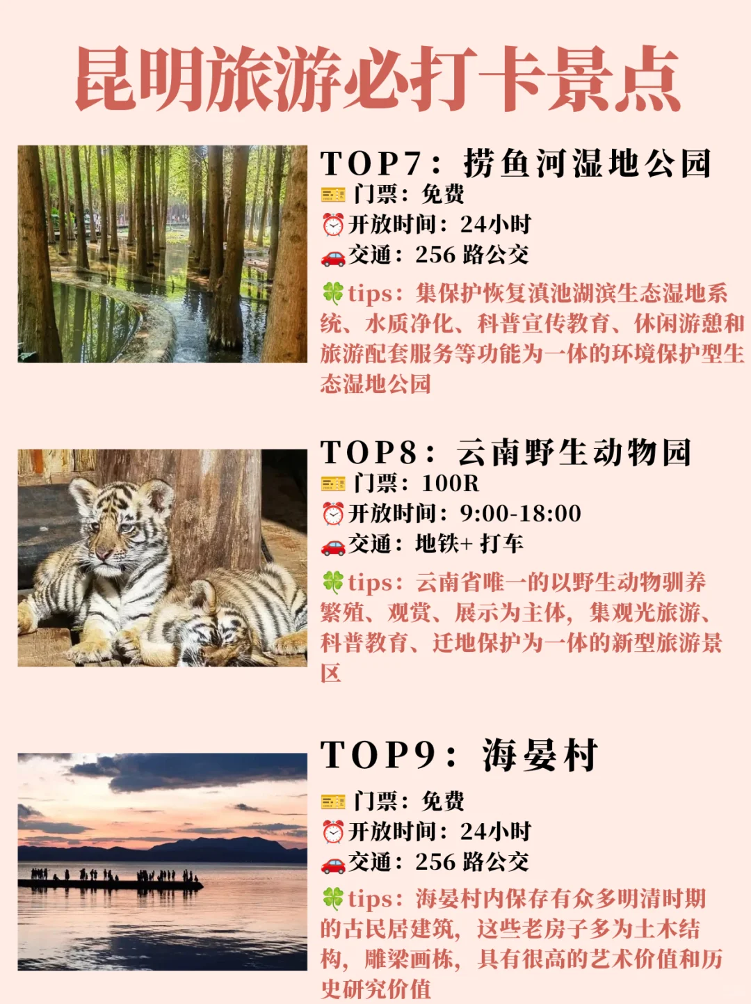 昆明!!1-2🈷️旅游必打卡景点攻略