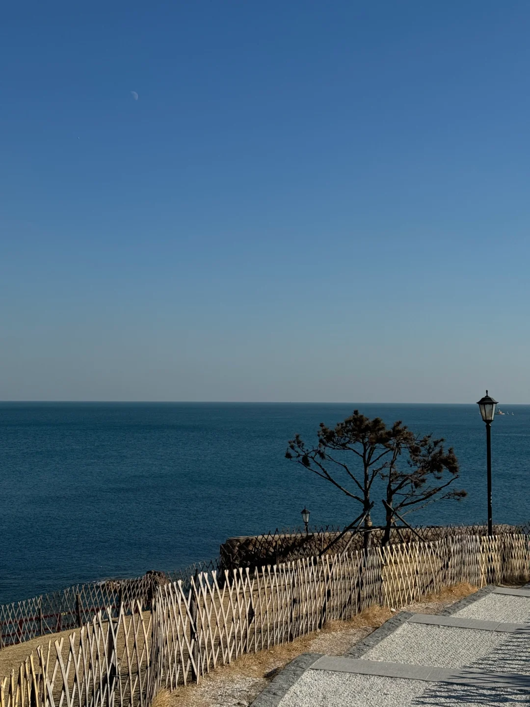 STAYCATION｜淡季青岛🌊真的是人间理想