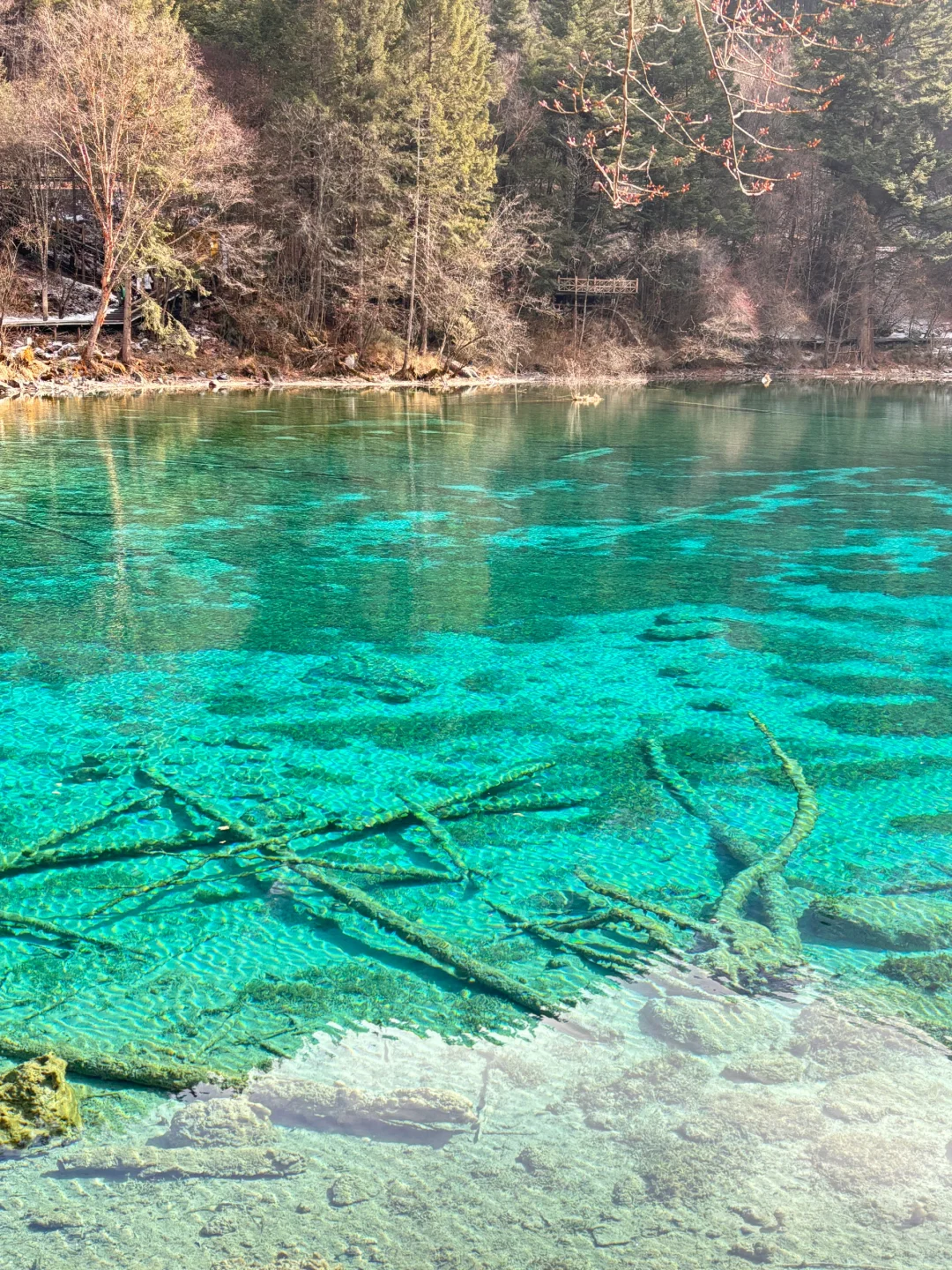 特种兵冬季九寨沟旅游攻略