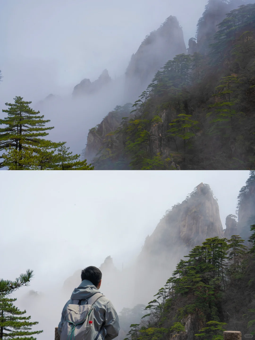 爬了3次黄山，总结了一条黄山保姆级攻略