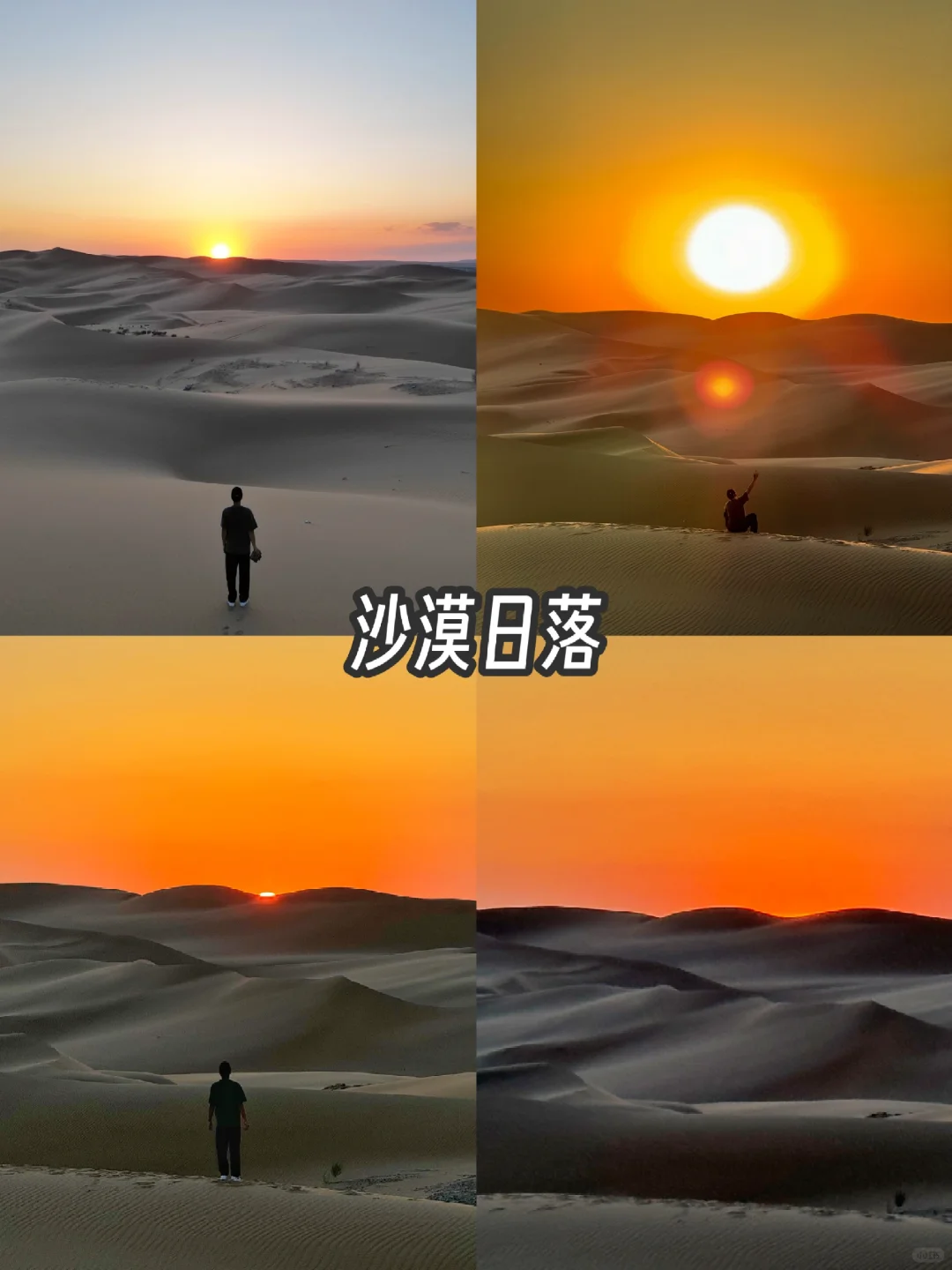 乌海旅游攻略，一日游总消费243元