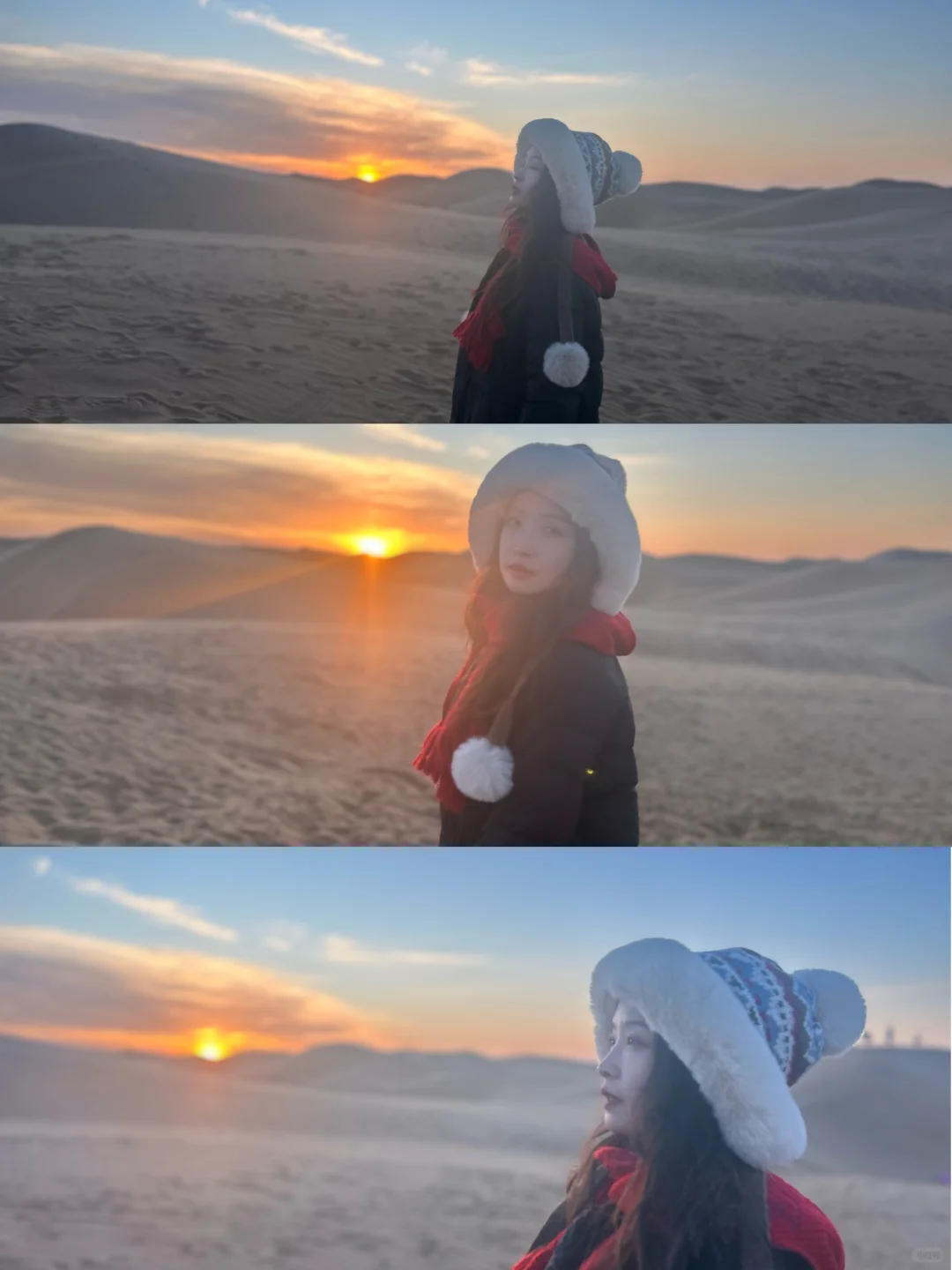 沙坡头景区一日体验