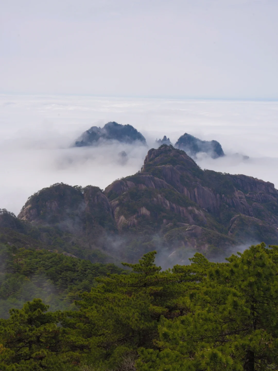 爬了3次黄山，总结了一条黄山保姆级攻略