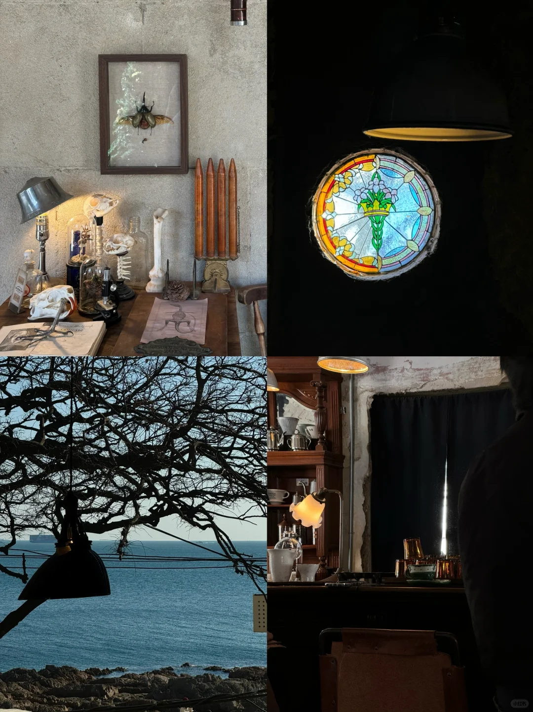 STAYCATION｜淡季青岛🌊真的是人间理想