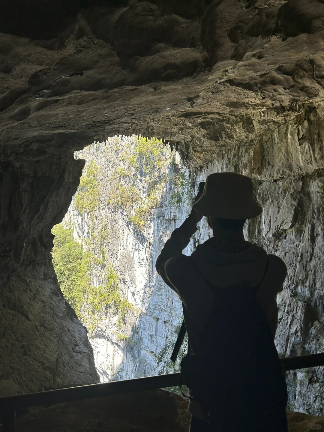 广西游交作业3️⃣大石围天坑群景区