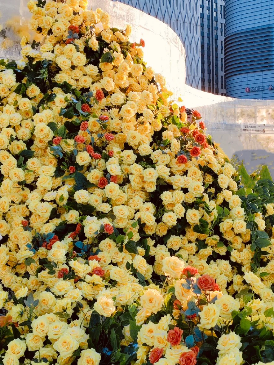 冬天去哈尔滨|6个超好拍的免费景点别错过‼️