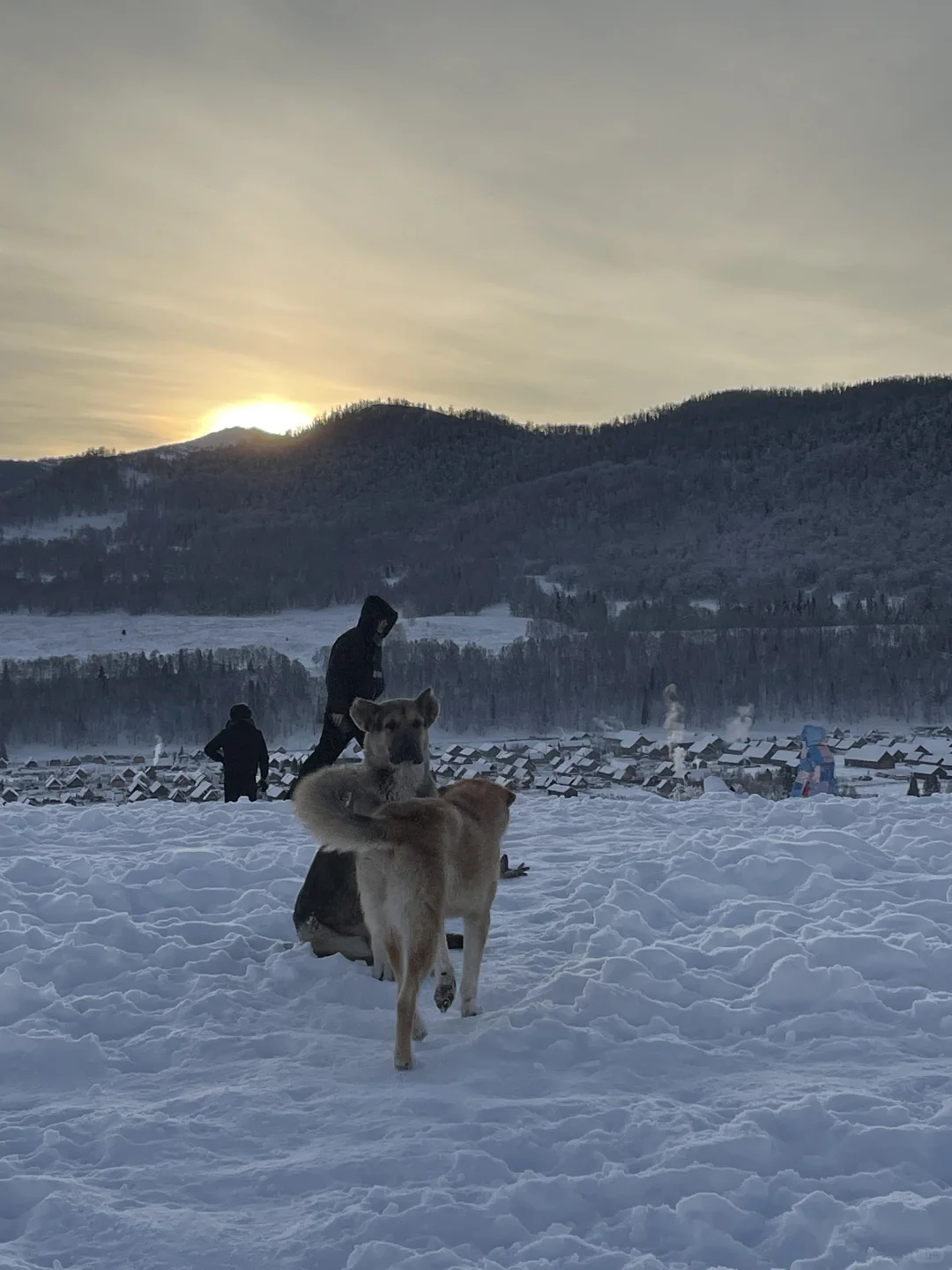 新疆冬季旅游攻略