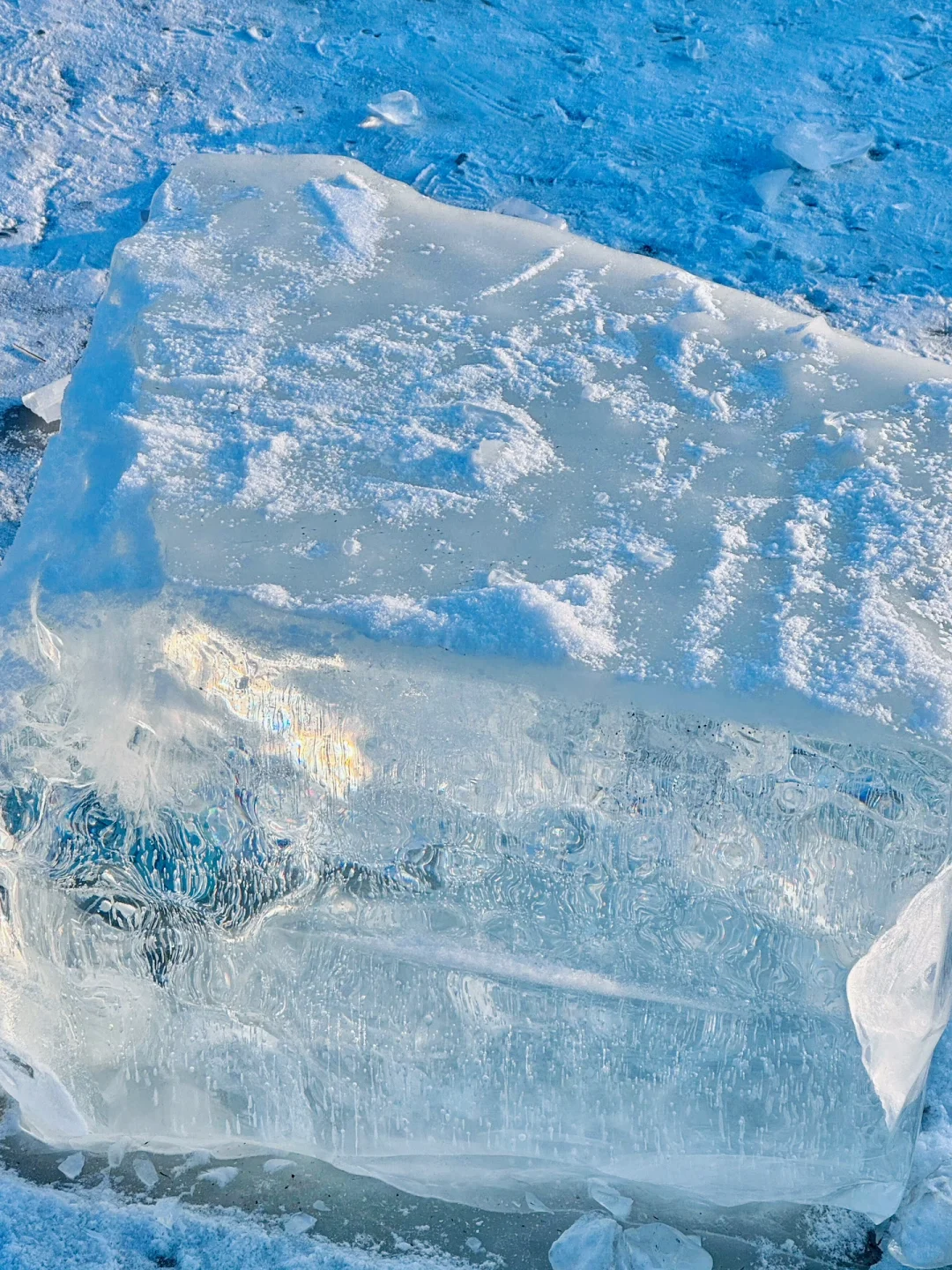 冬天去哈尔滨|6个超好拍的免费景点别错过‼️