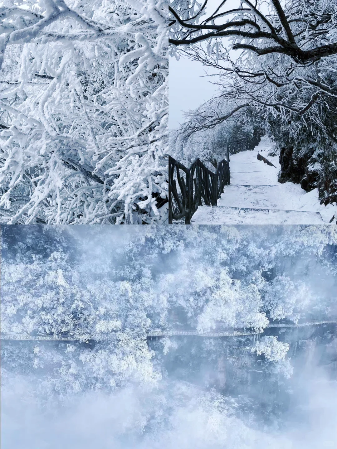 张家界下雪了❗️去看雪滑雪先做好这些准备