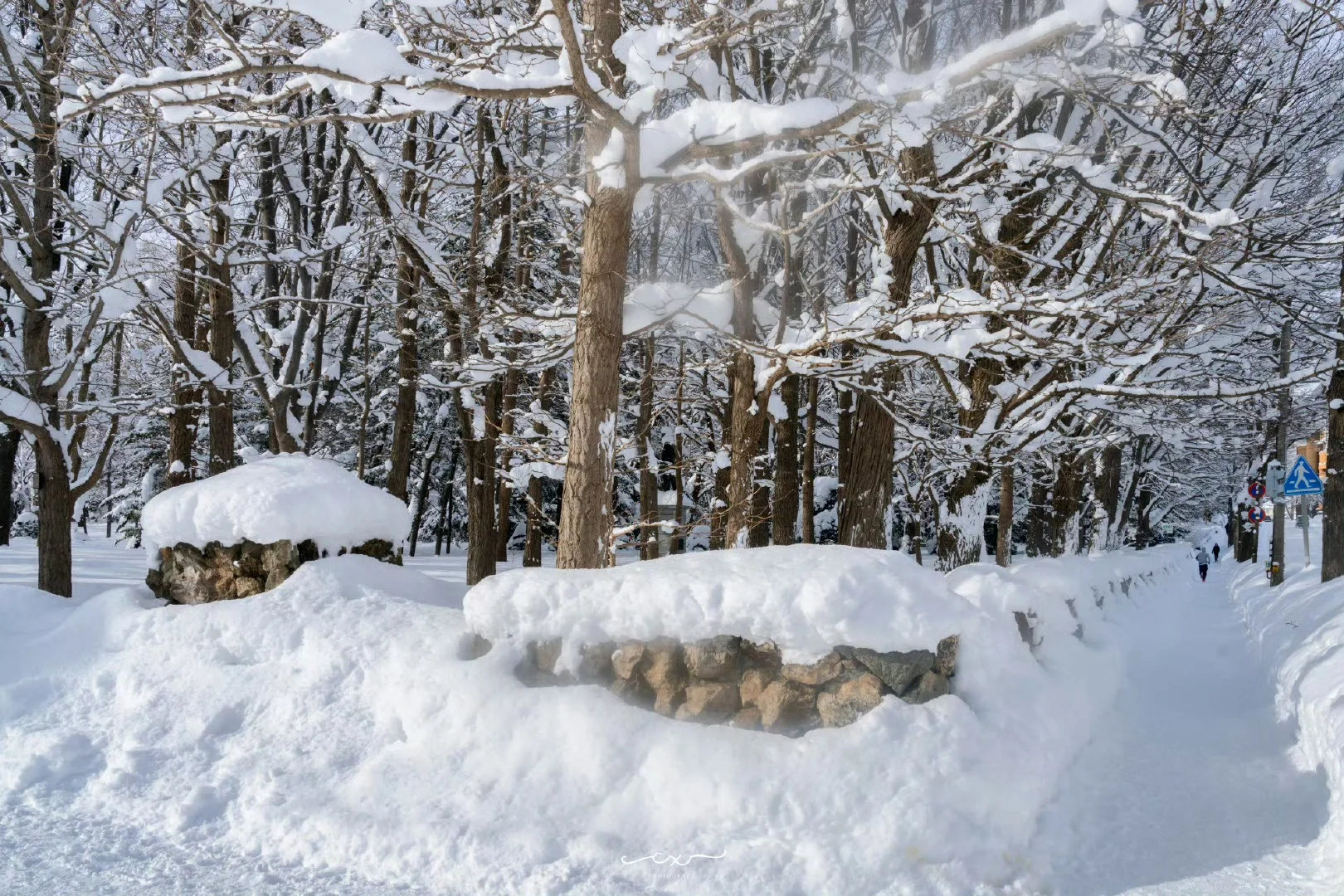 札幌必打卡景點：圓山公園｜攻略