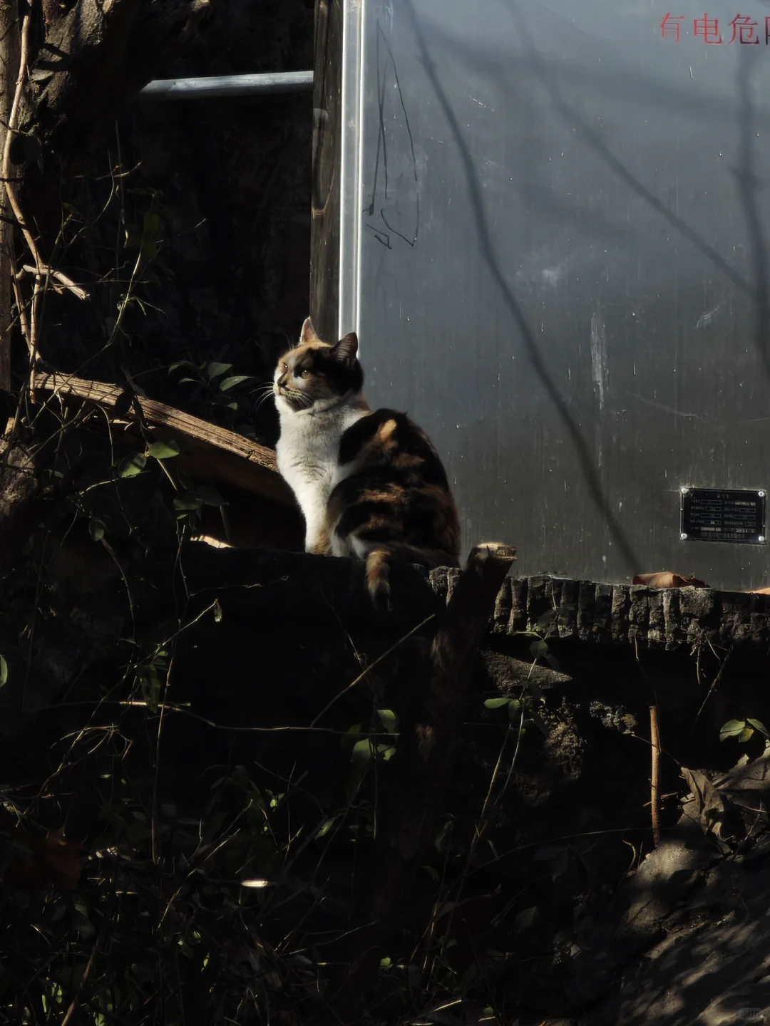 龙门石窟📍洛阳