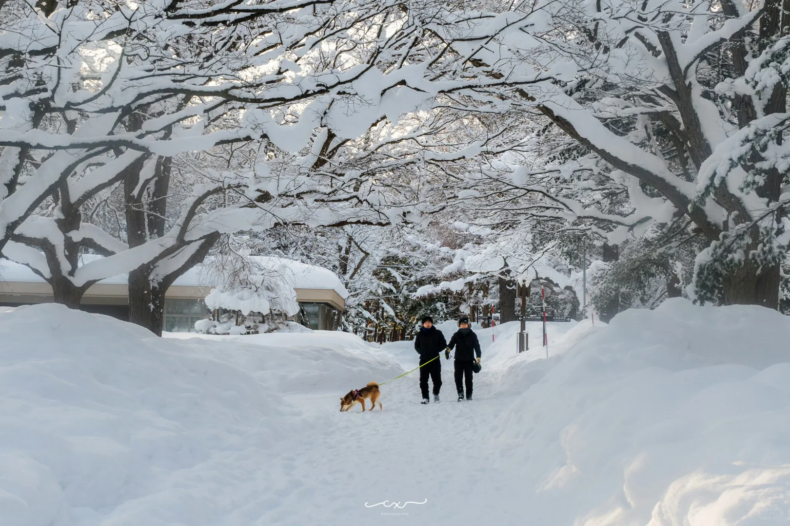 札幌必打卡景點：圓山公園｜攻略