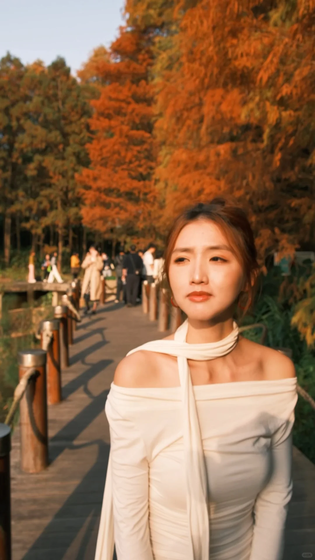 仙湖City walk📍落羽杉已美到最大值(附攻略