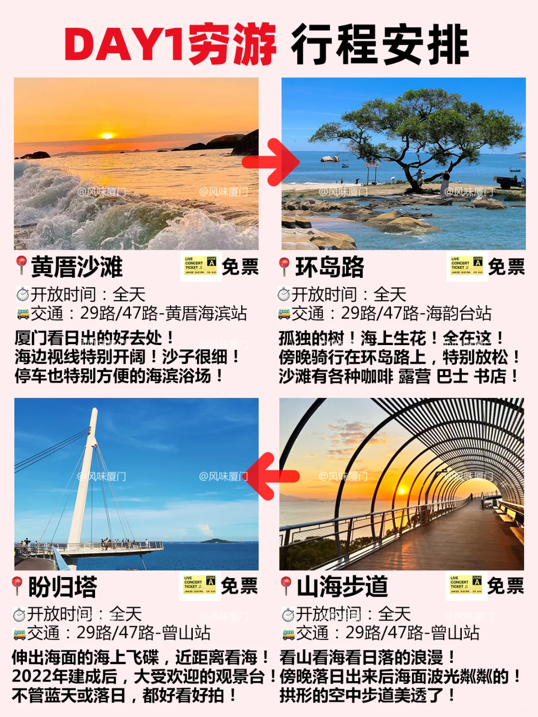 穷游厦门4天，后悔知道晚了😭😭😭