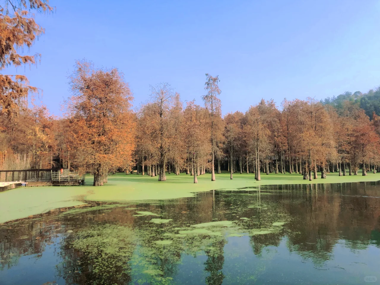 16月龄/带娃见世面，网红景区走一圈