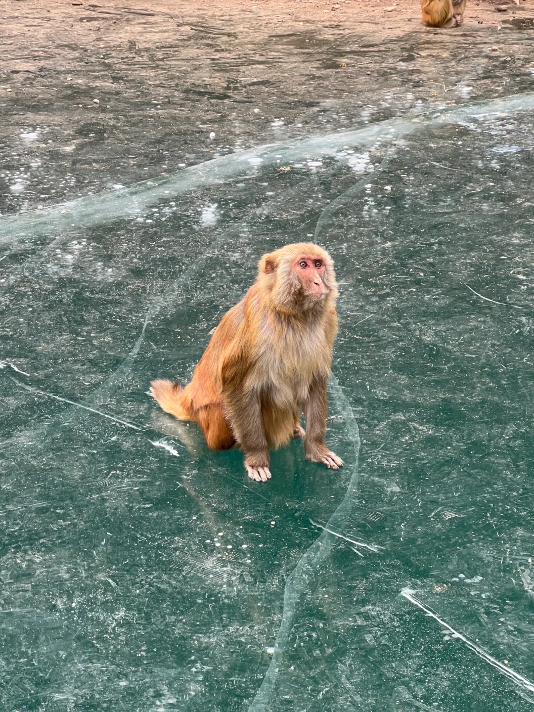 山西通天峡｜1️⃣日游超详细🔎攻略✅