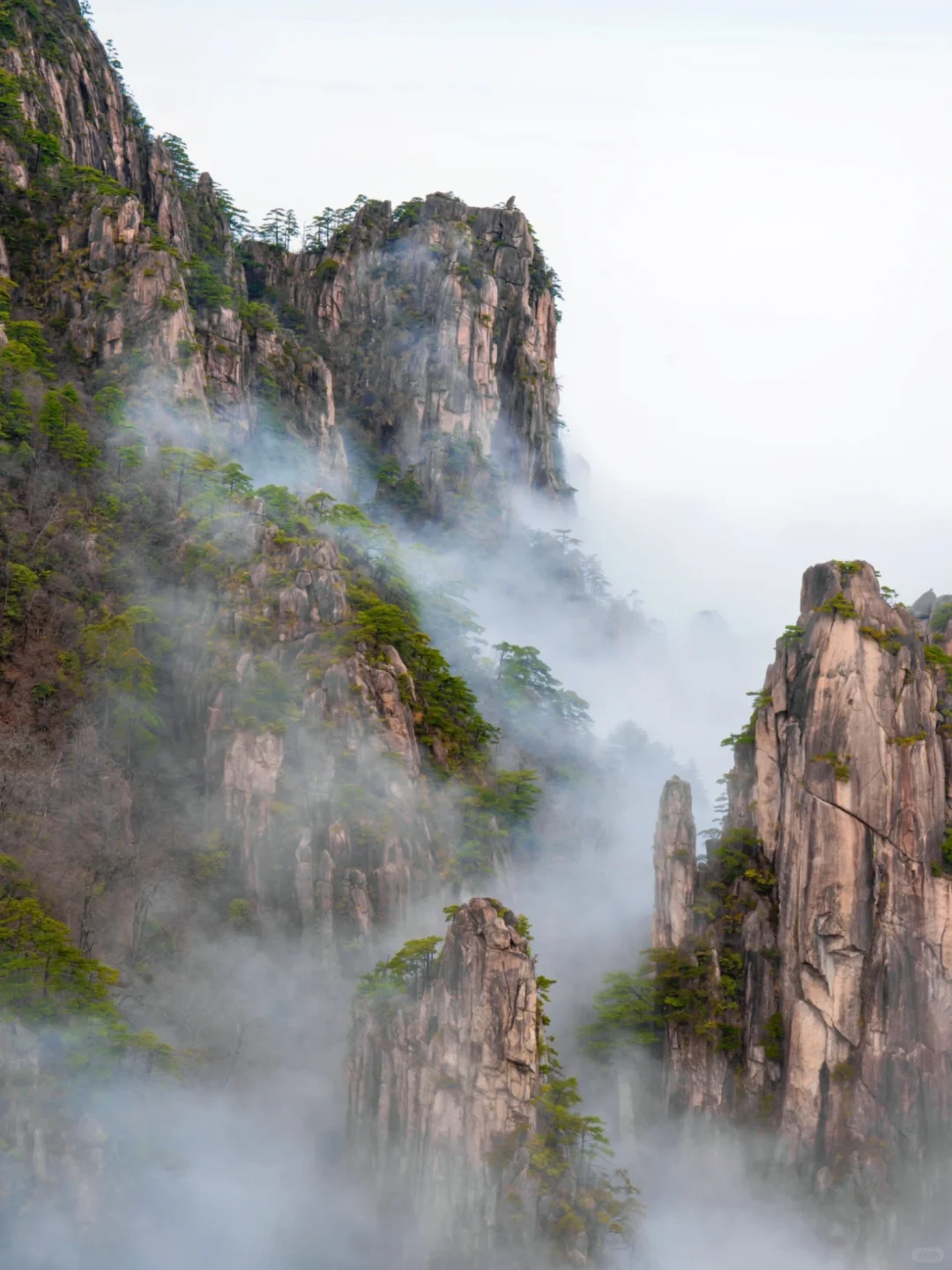 爬了3次黄山，总结了一条黄山保姆级攻略