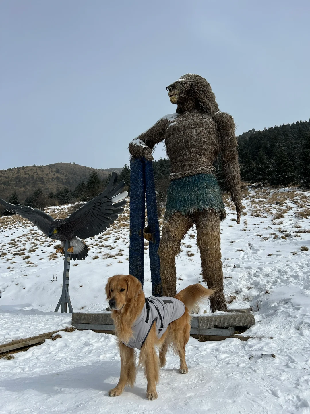 1月9号实况两人两狗自驾东莞-神农架之神农