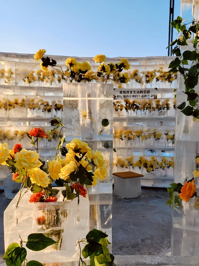 冬天去哈尔滨|6个超好拍的免费景点别错过‼️