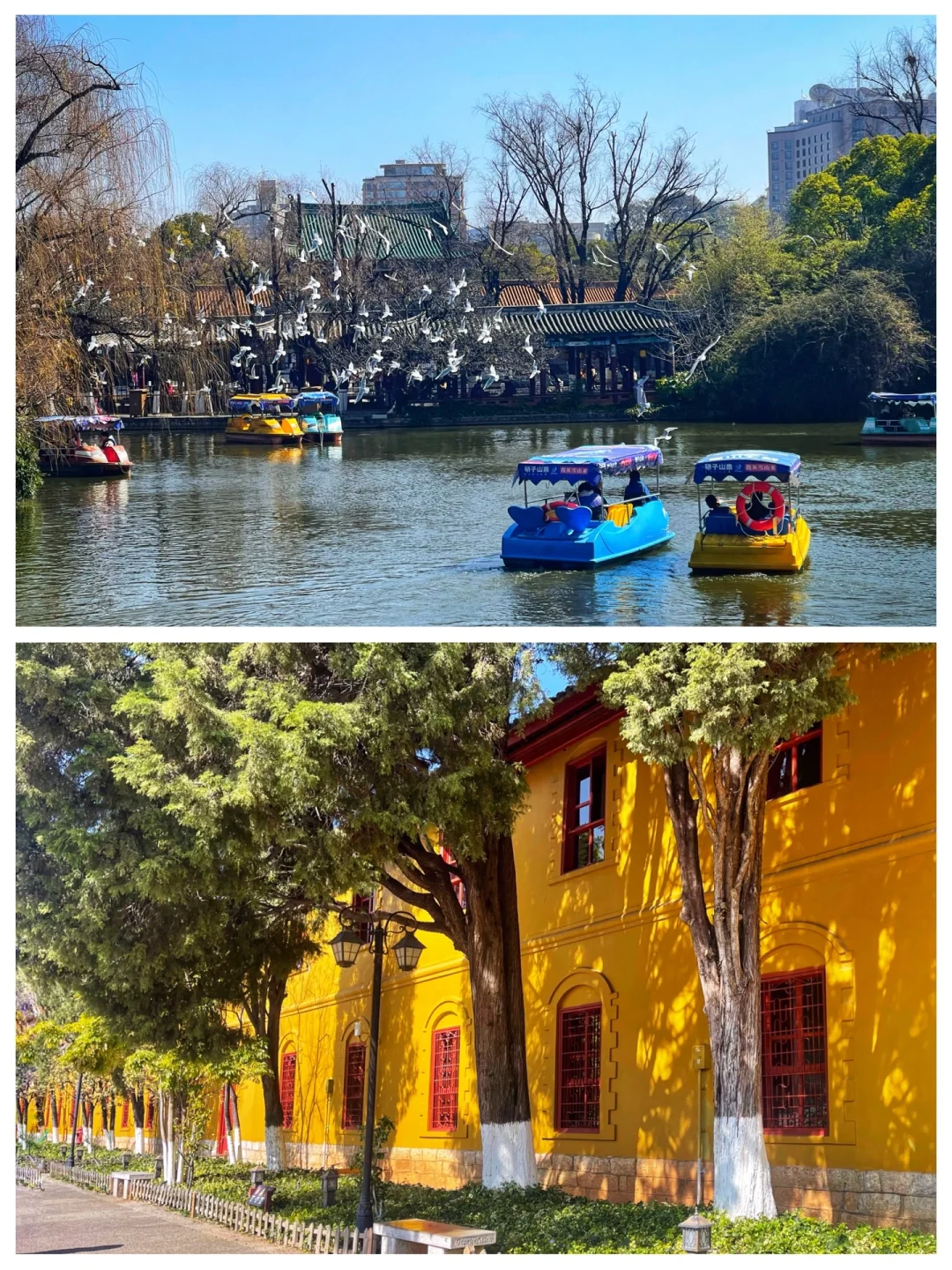 昆明｜这条🚶citywalk路线含金量太高了吧😭