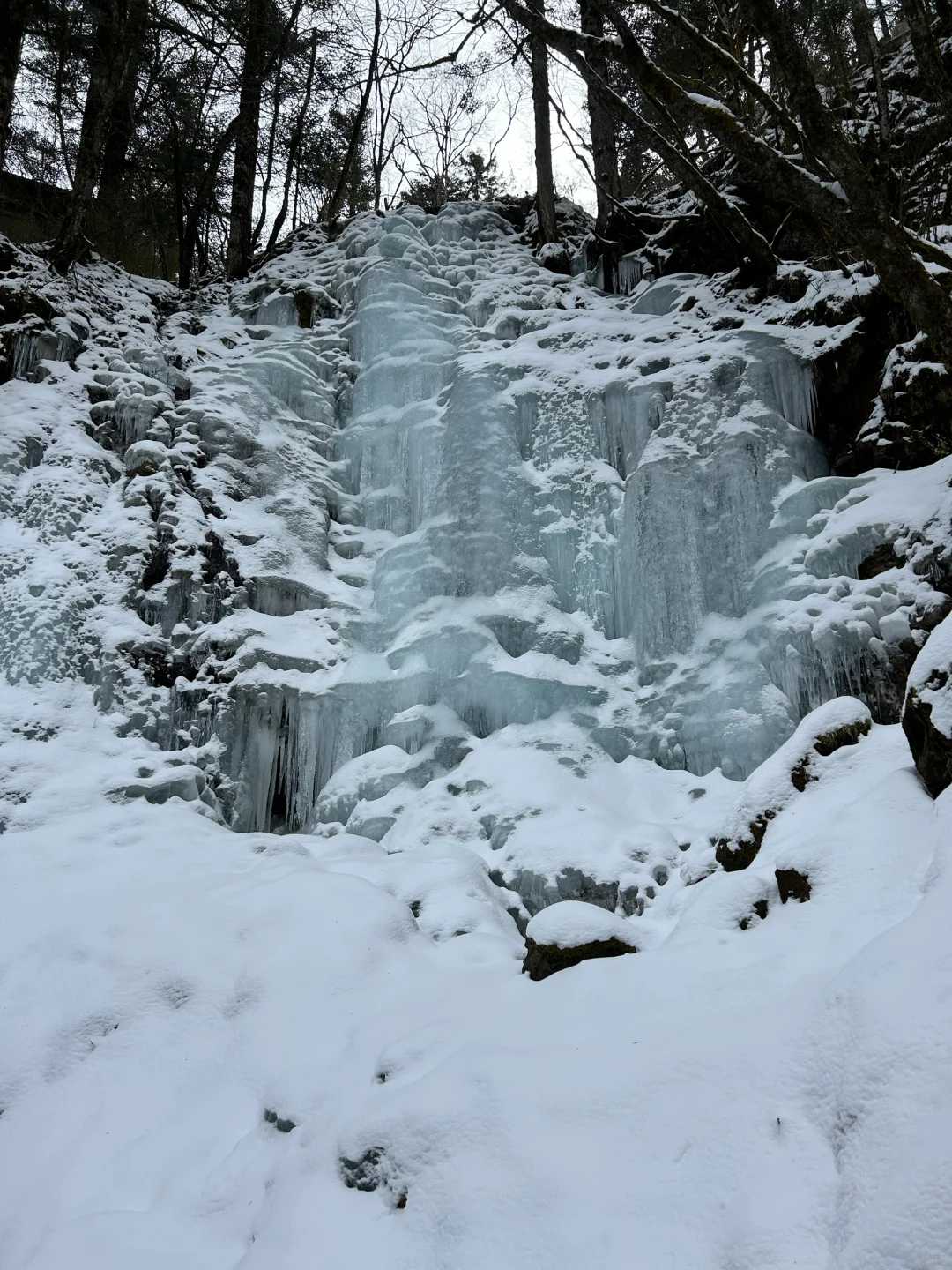 1月9号实况两人两狗自驾东莞-神农架之神农