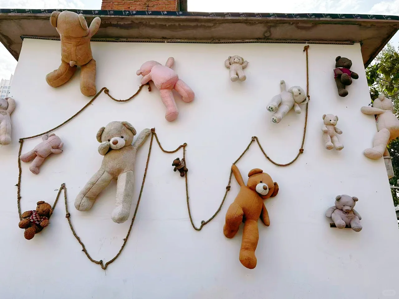 来邯郸待一天？请接收这份citywalk打卡攻略