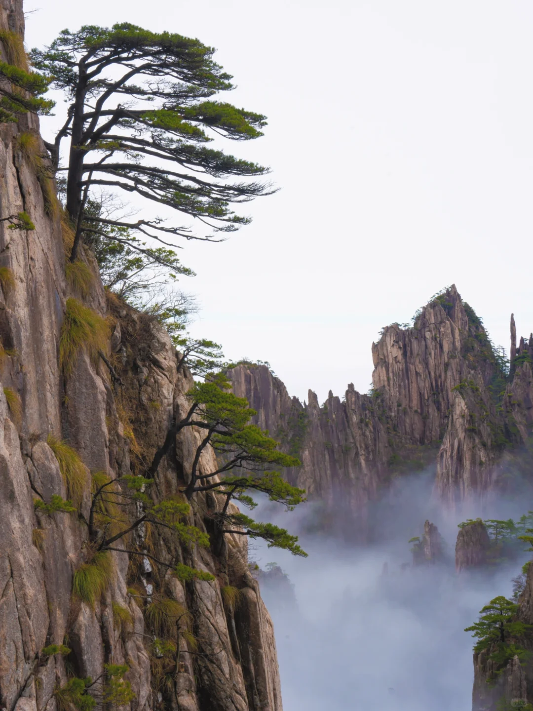 爬了3次黄山，总结了一条黄山保姆级攻略