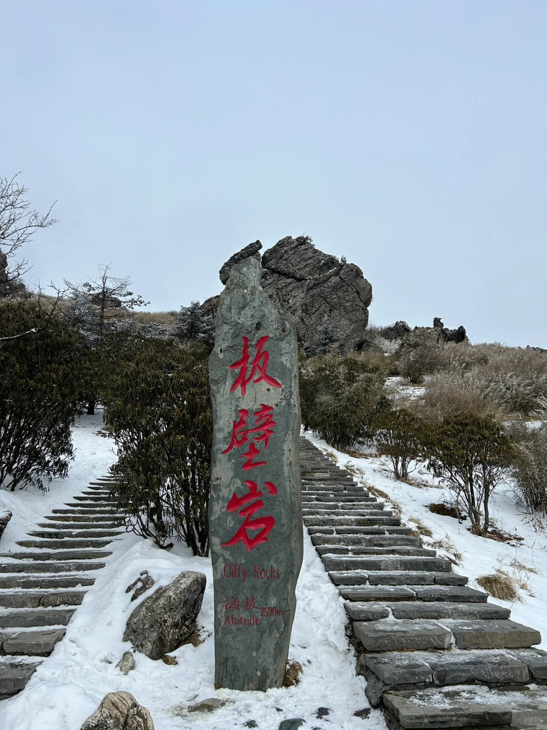 1月9号实况两人两狗自驾东莞-神农架之神农