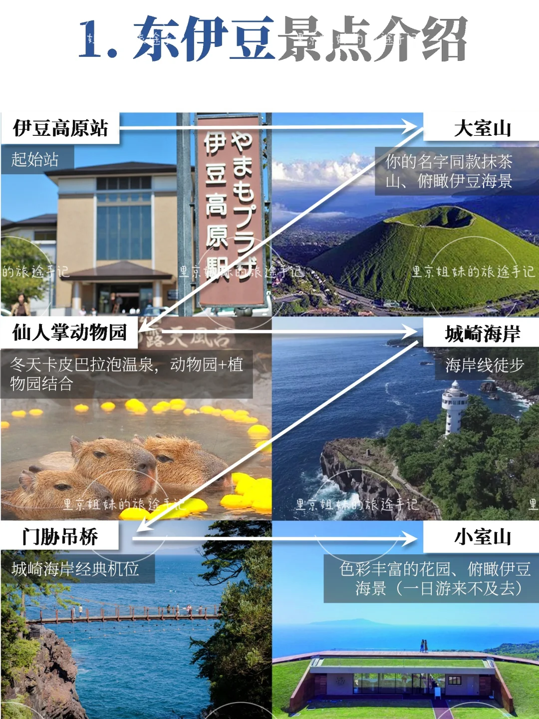 伊豆超全攻略｜一篇秒懂伊豆到底怎么玩