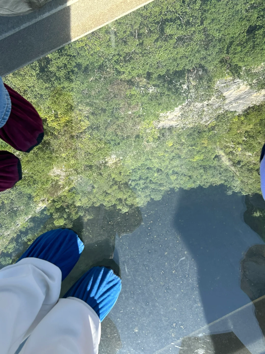 广西游交作业3️⃣大石围天坑群景区