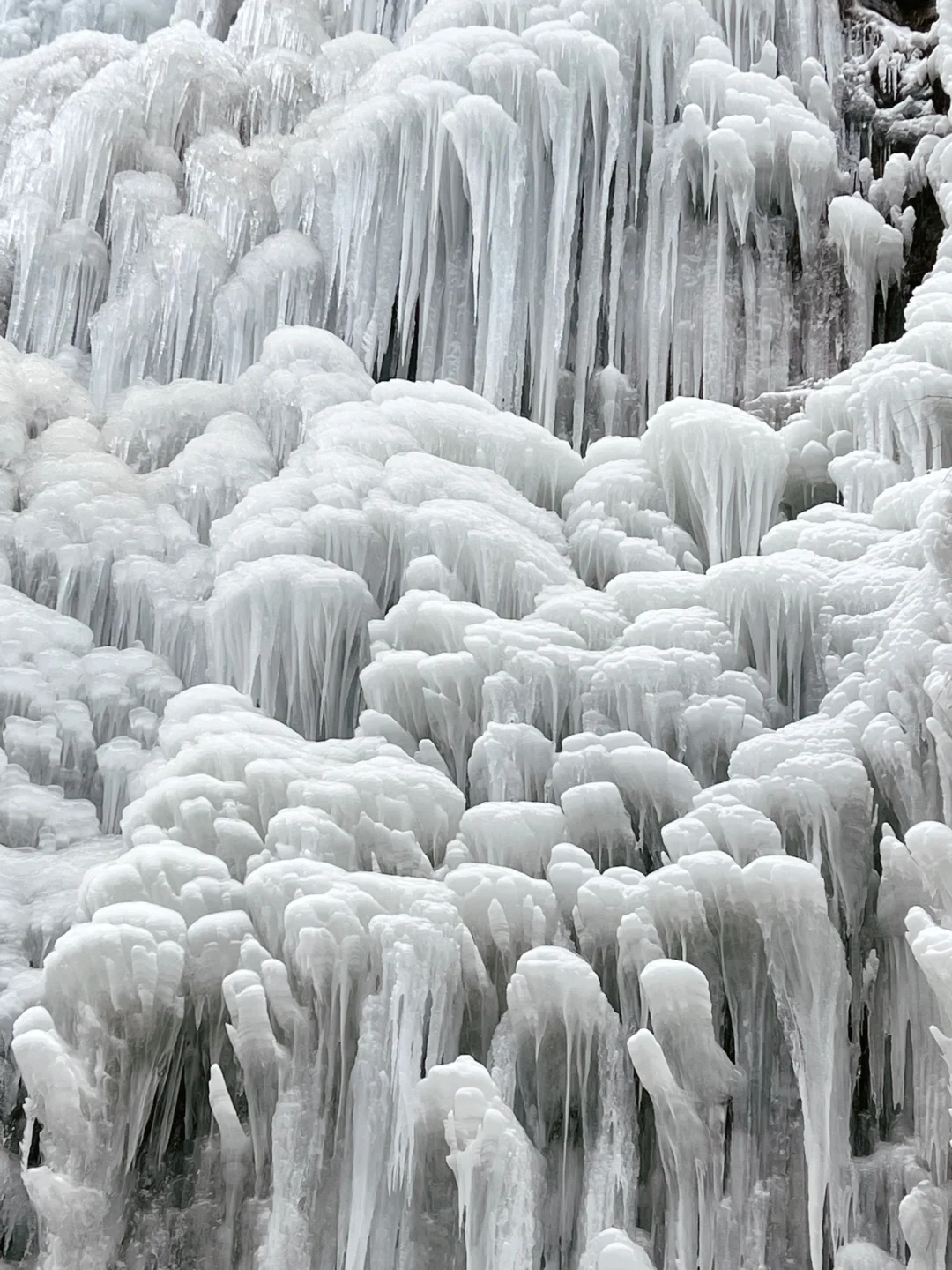 淡季出游｜0元看麦积山石窟真的太值了！