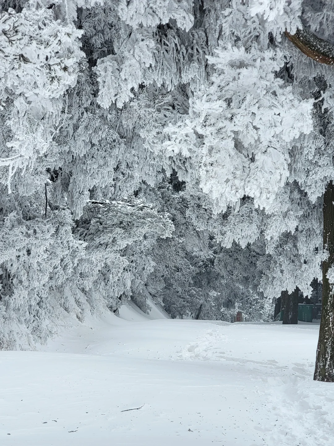 南岳衡山2025第一波雾凇全攻略