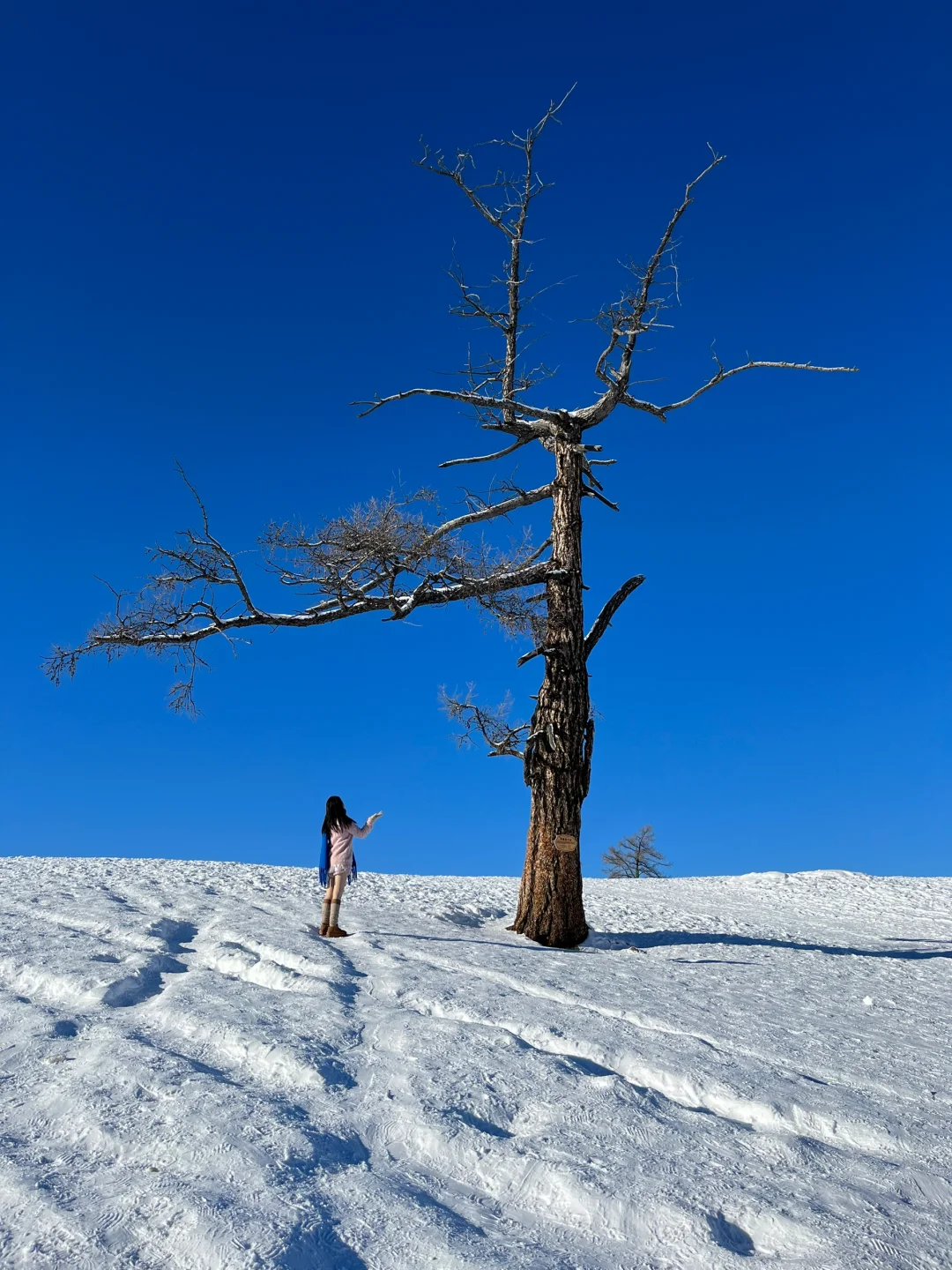 新疆阿勒泰旅游攻略一个人从广州出发