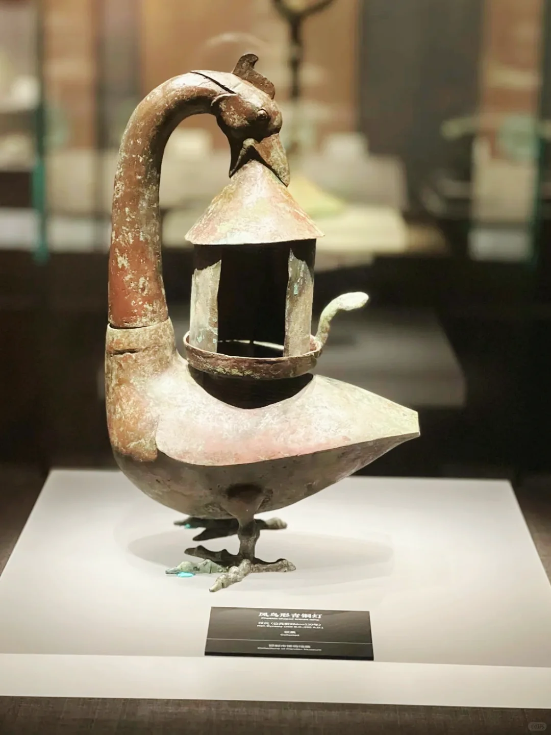 支持鸡窝头女士➡️邯郸真是一座宝藏旅游地🎉