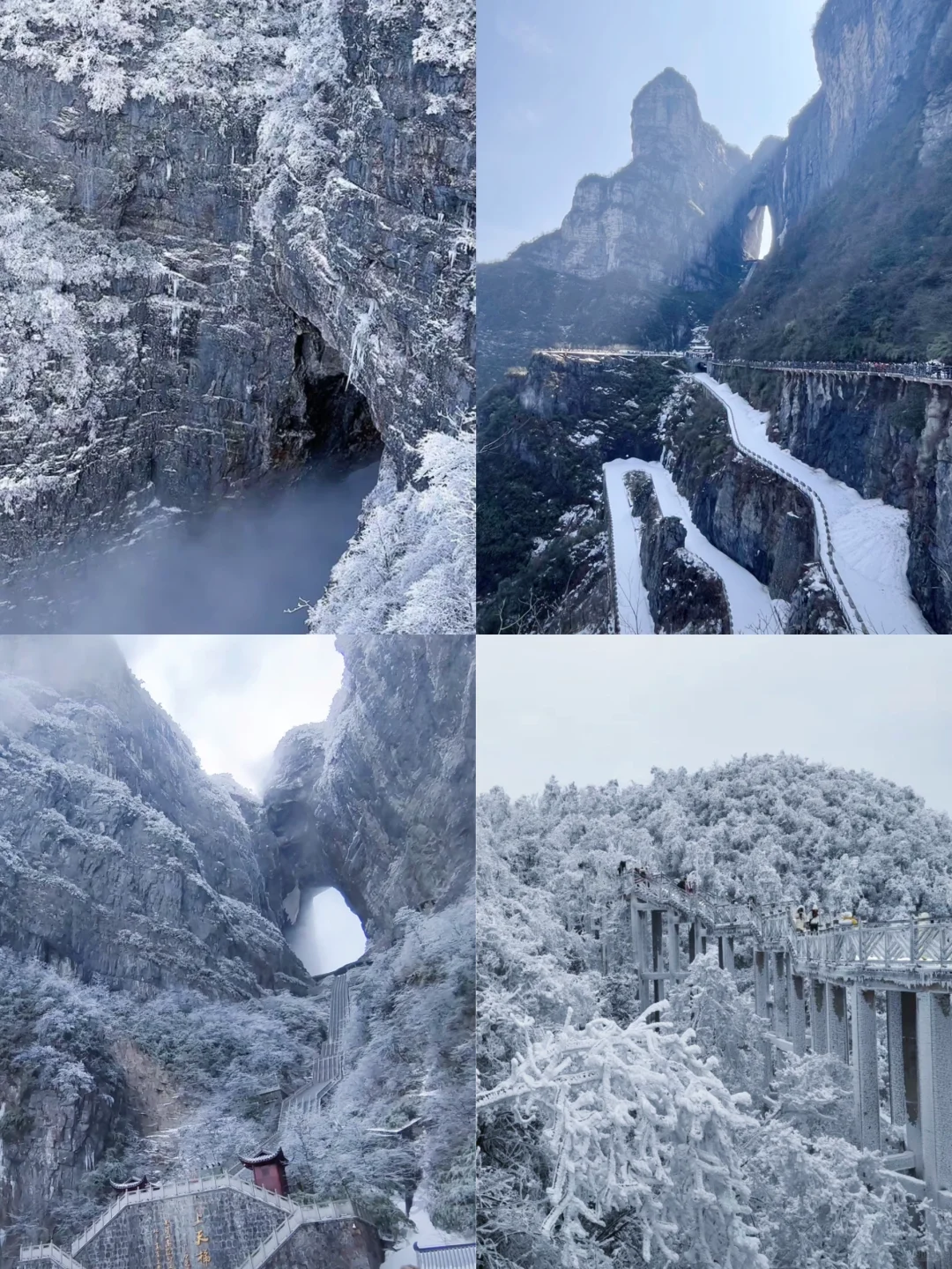 张家界下雪了❗️去看雪滑雪先做好这些准备