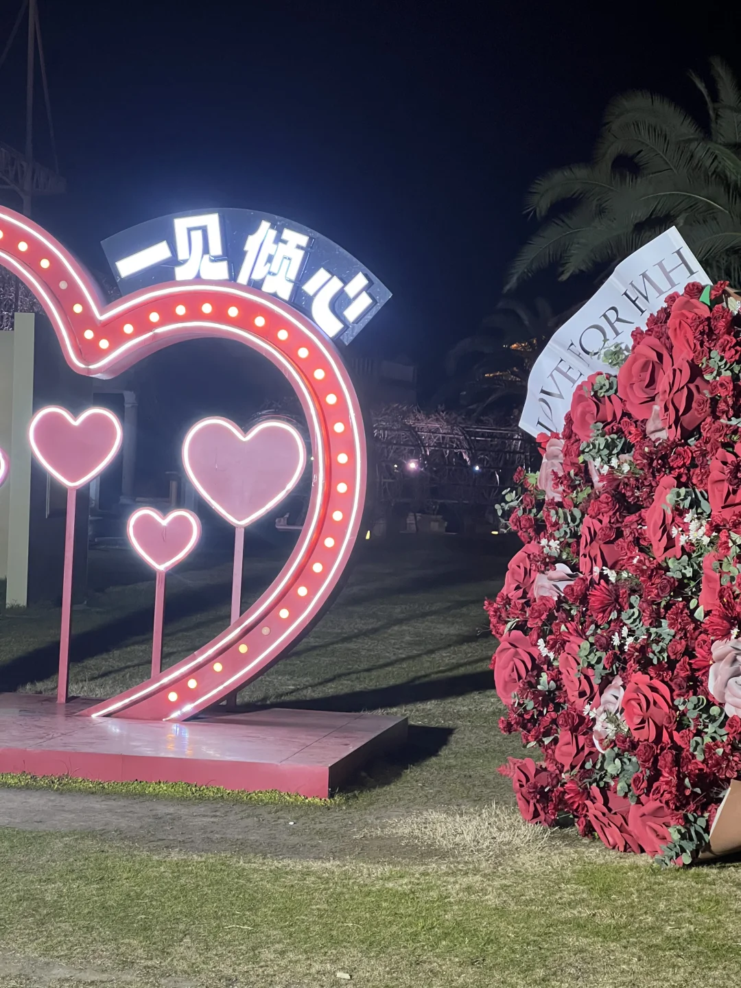 侯明昊大花已移至广州街景区，欢迎桃妹打卡～