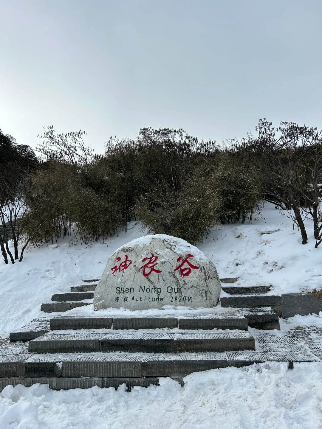 1月9号实况两人两狗自驾东莞-神农架之神农