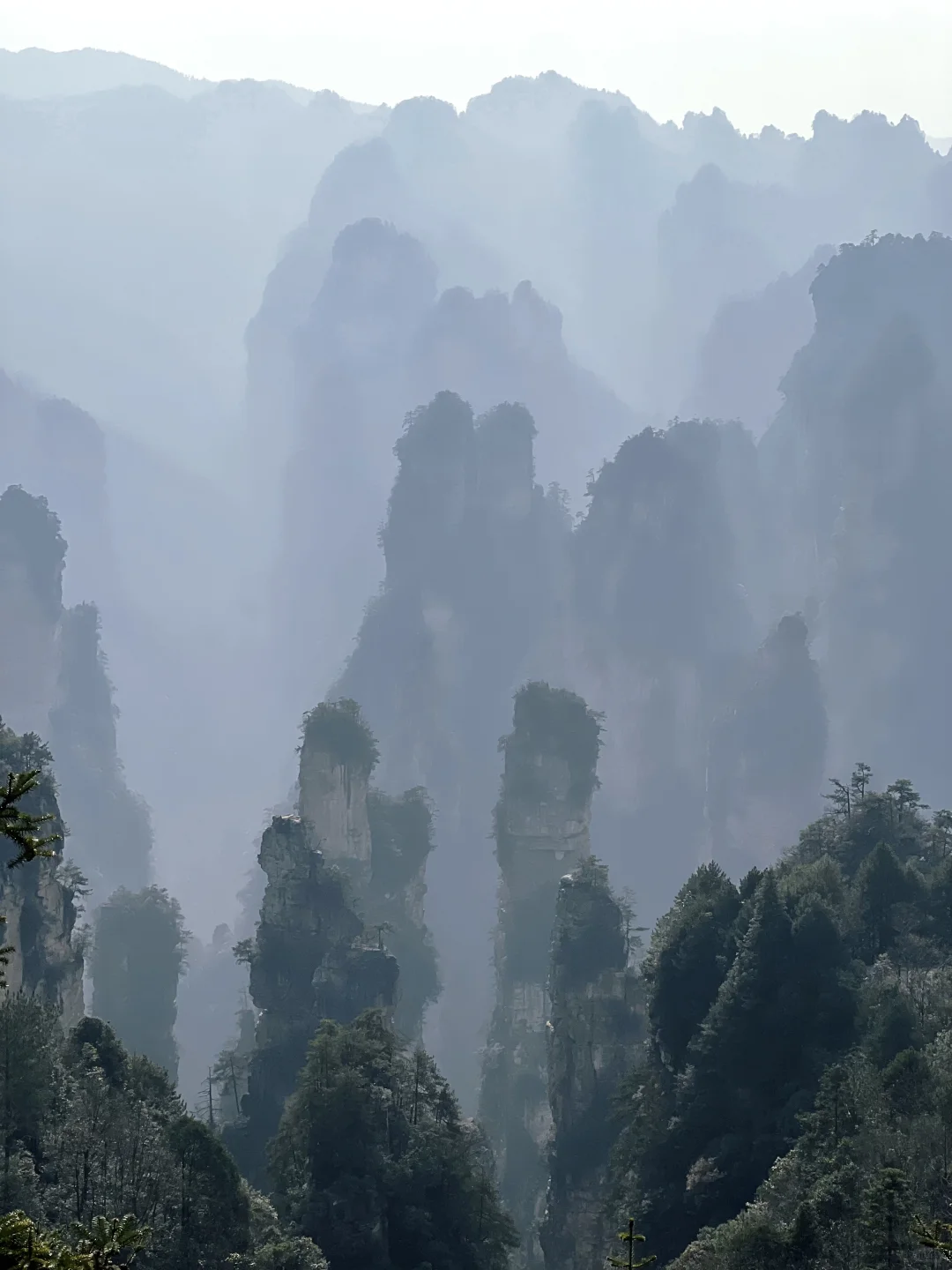 淡季的张家界太香了（附三天两夜路线）