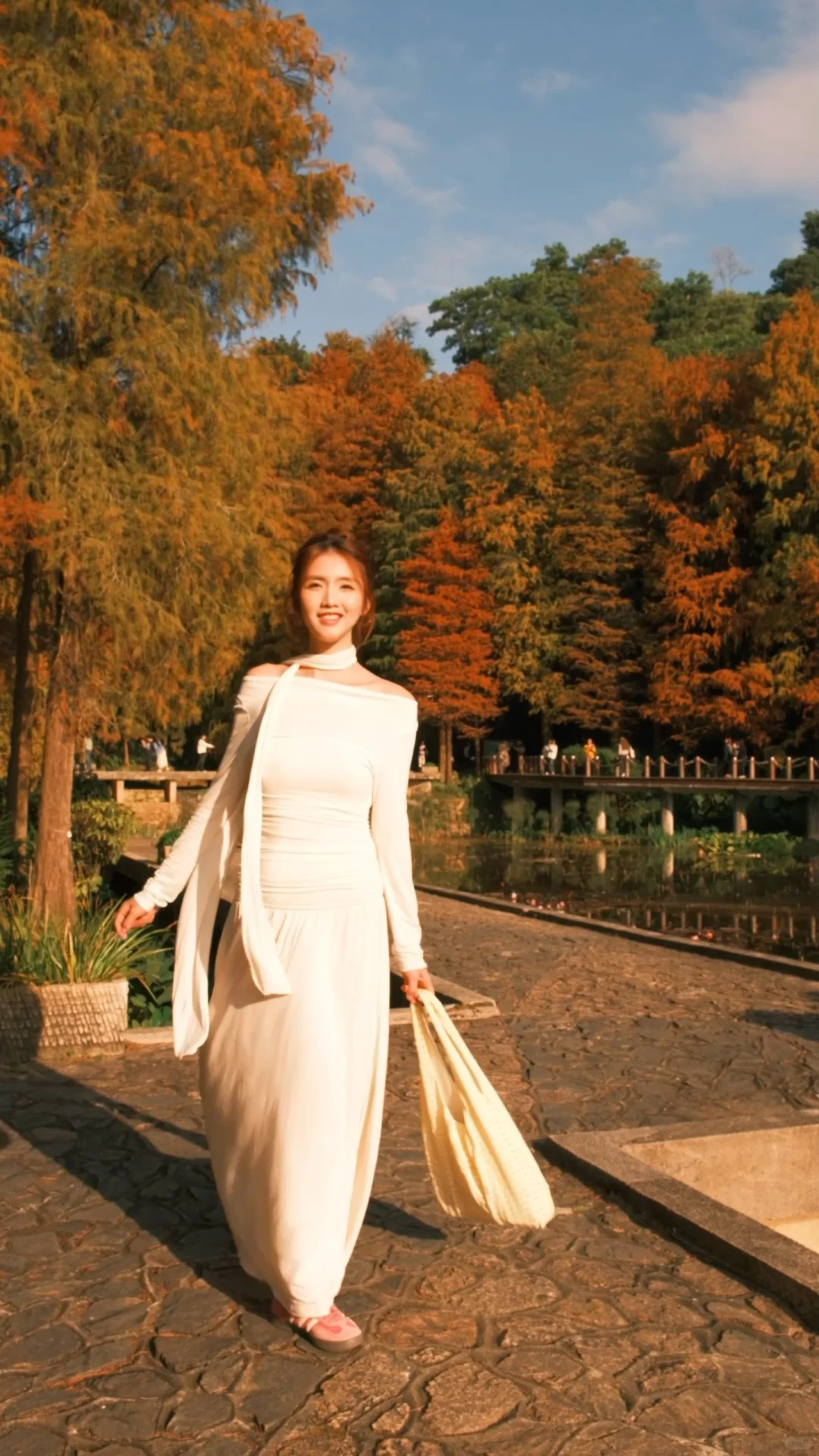 仙湖City walk📍落羽杉已美到最大值(附攻略