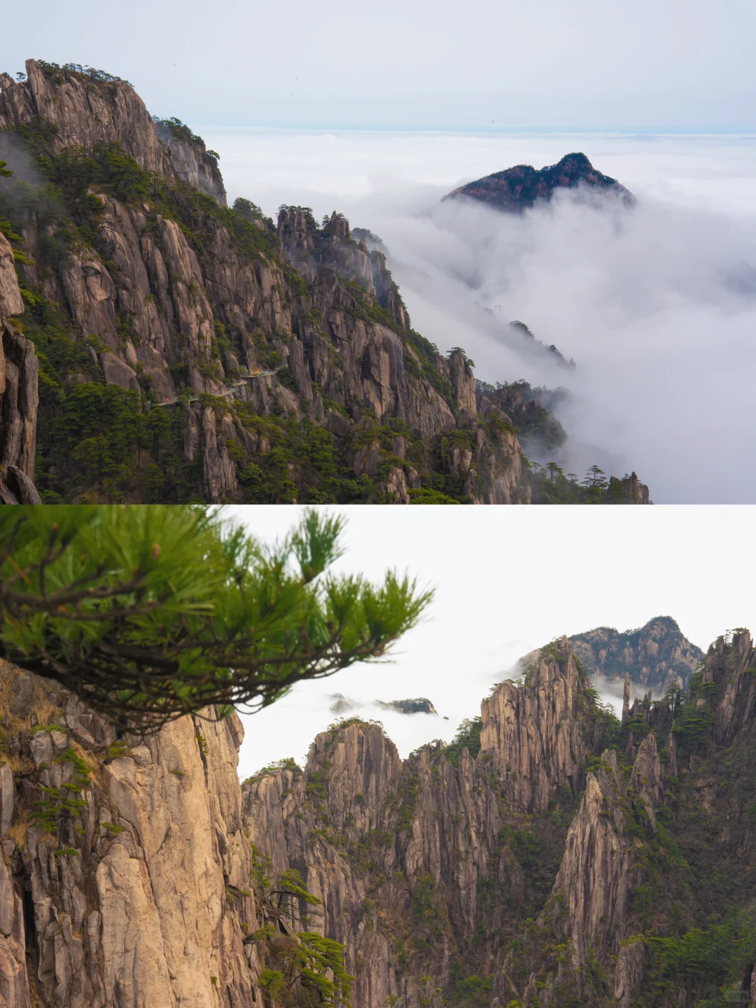 爬了3次黄山，总结了一条黄山保姆级攻略