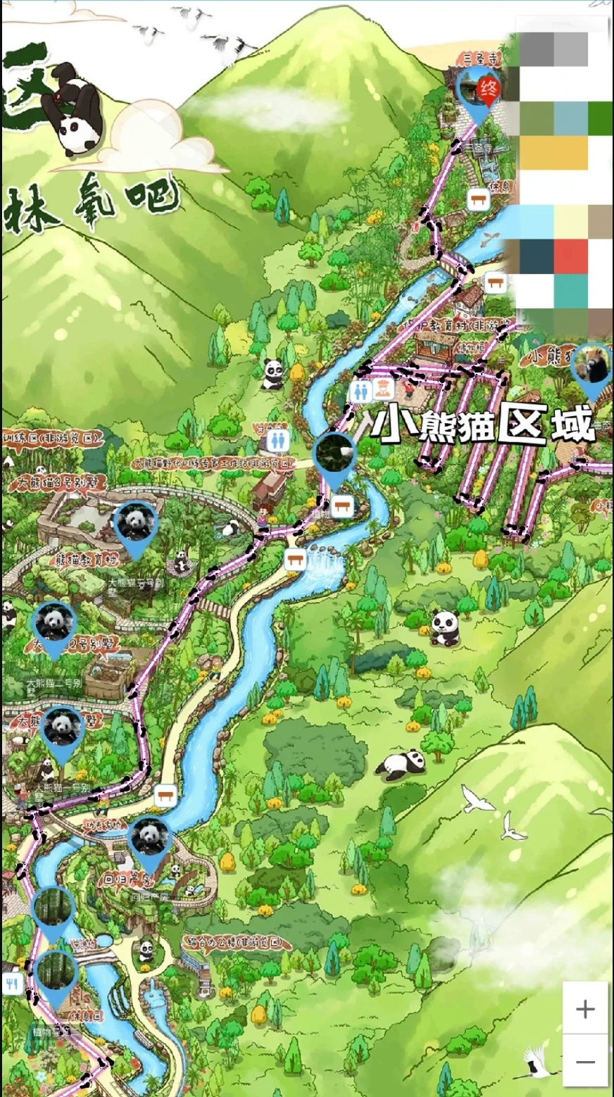 春节寒假‼️一天搞定熊猫谷➕都江堰➕蓝眼泪