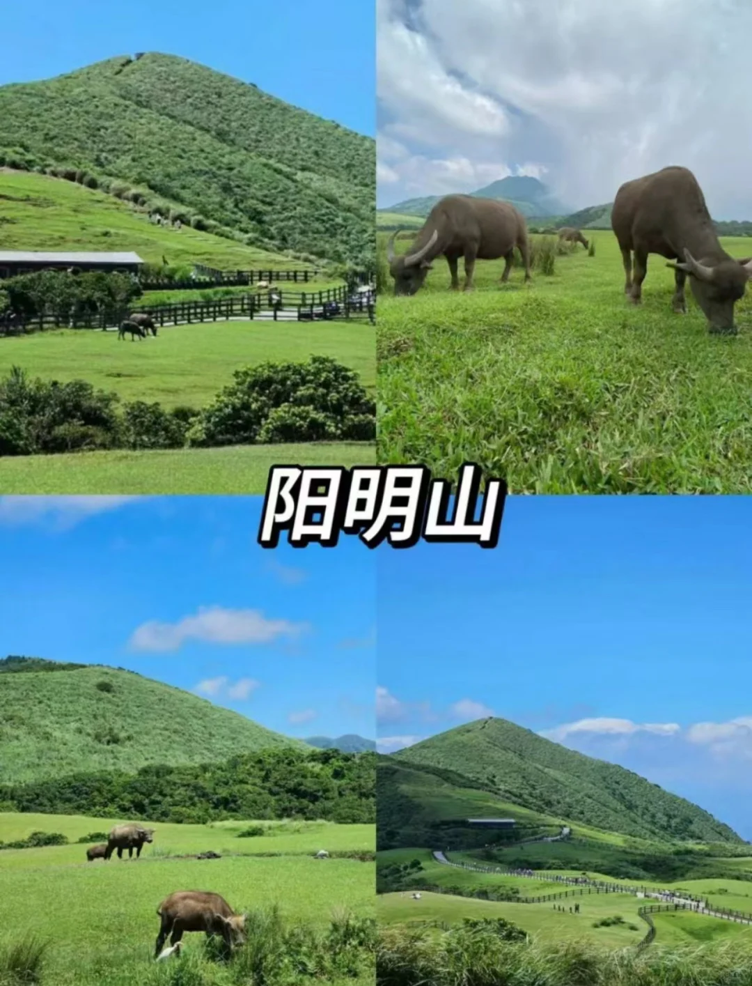 原來台灣可以這麼好玩…