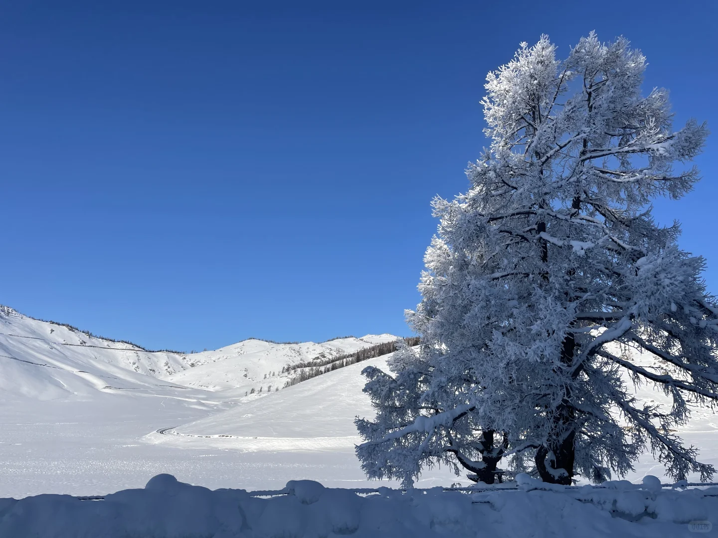 新疆冬季旅游攻略