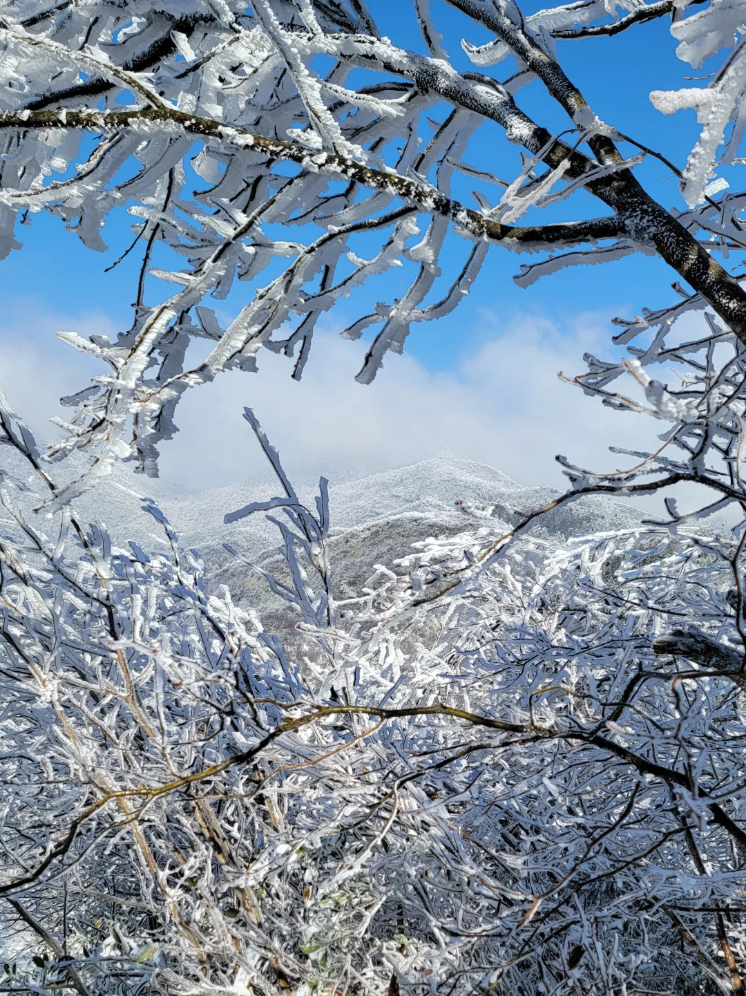 南岳衡山2025第一波雾凇全攻略