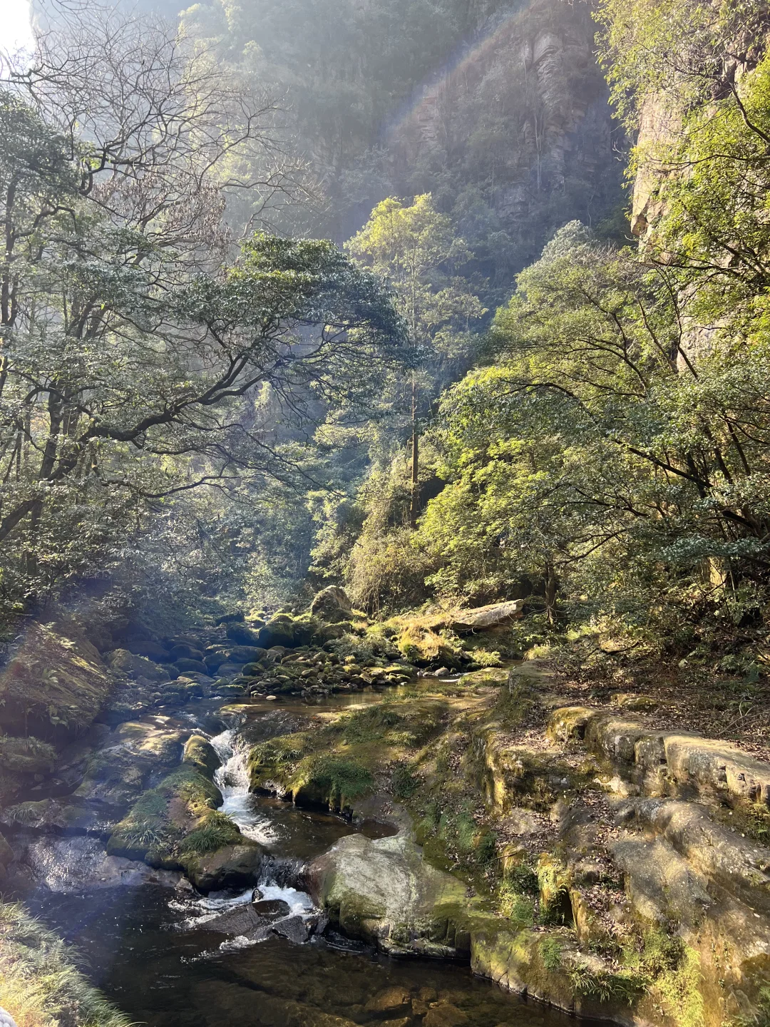 淡季的张家界太香了（附三天两夜路线）